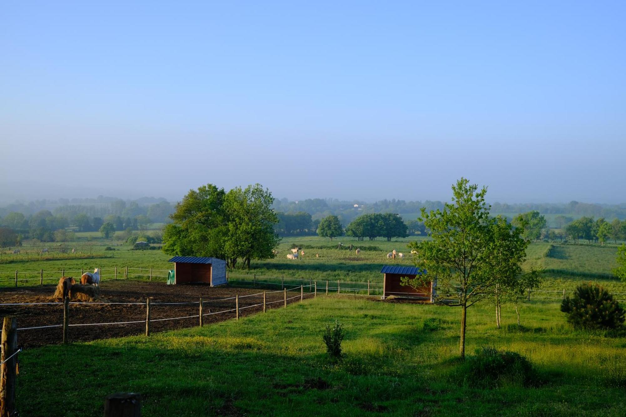Les Chambres De La Forge Des Collines Les Herbiers Kültér fotó